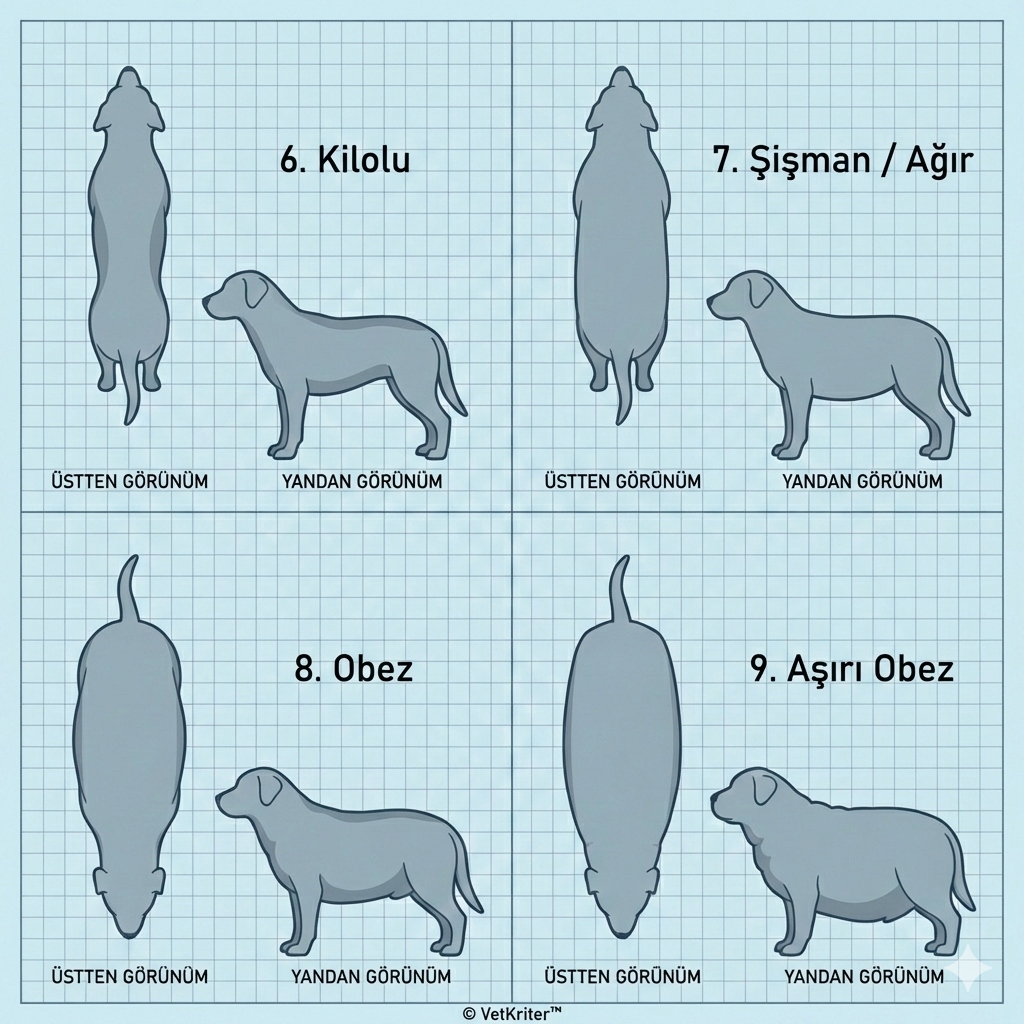 Köpek BCS 6-9